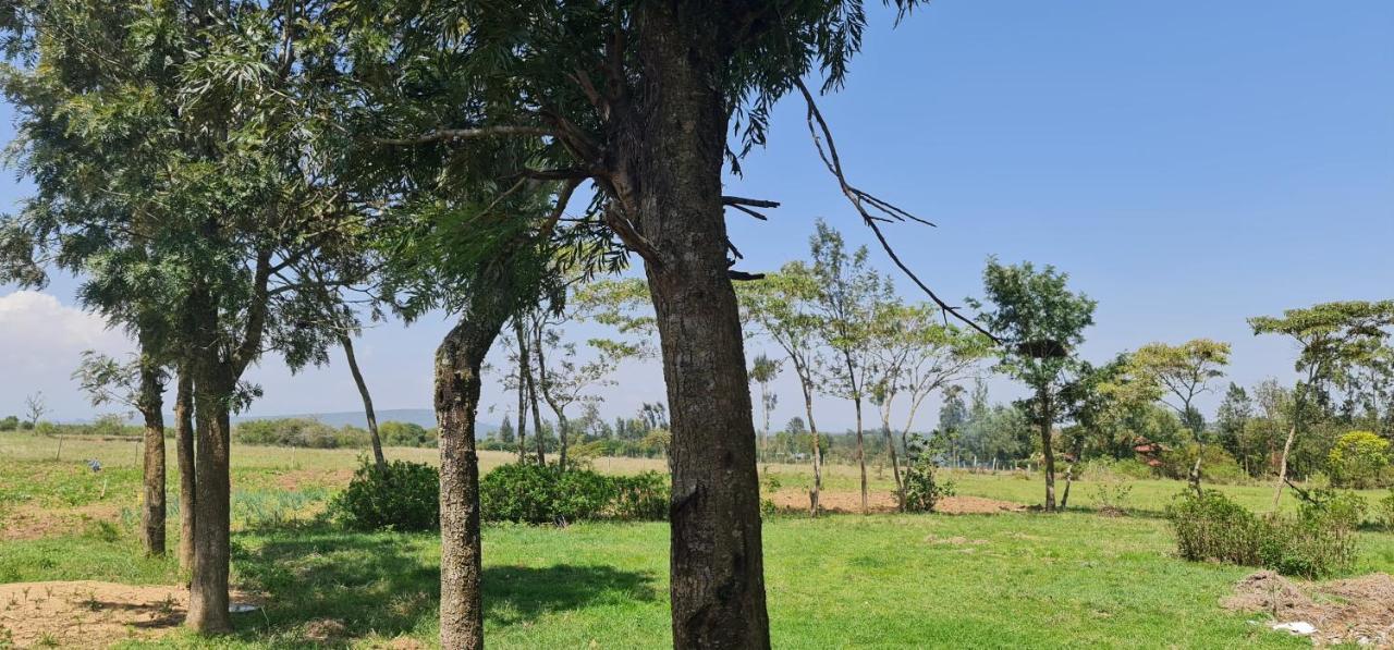 Le Tai Village Resort Near Solio Game Reserve Mweiga Exteriér fotografie